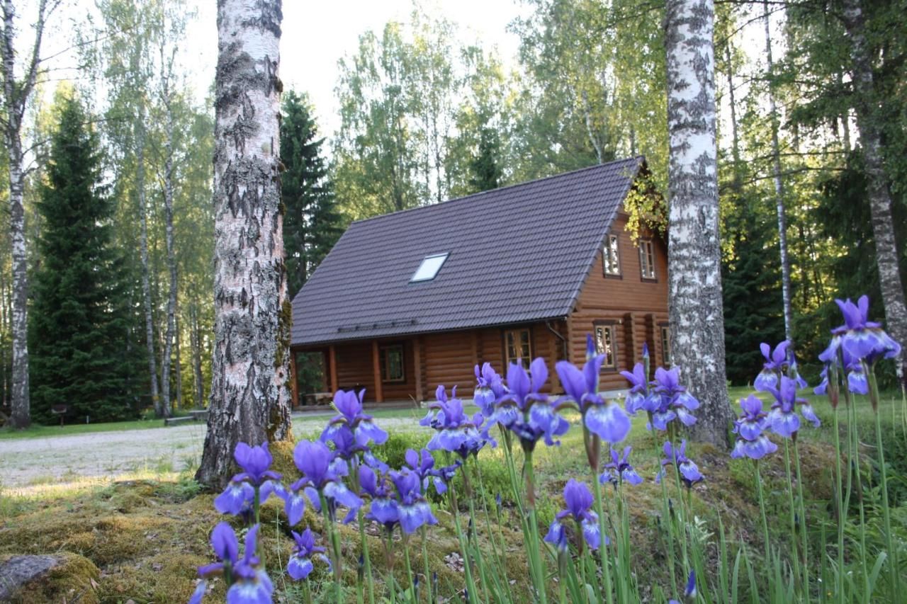 Загородные дома Aasa Holiday Homes Kärsu-4