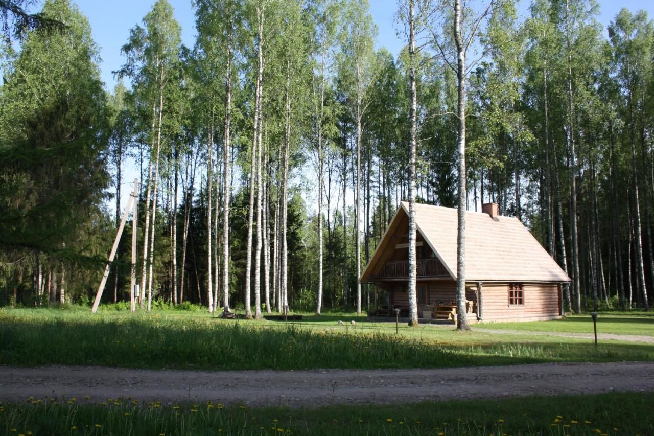 Загородные дома Aasa Holiday Homes Kärsu