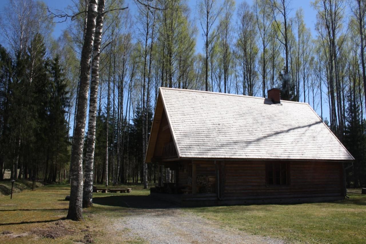 Загородные дома Aasa Holiday Homes Kärsu-17