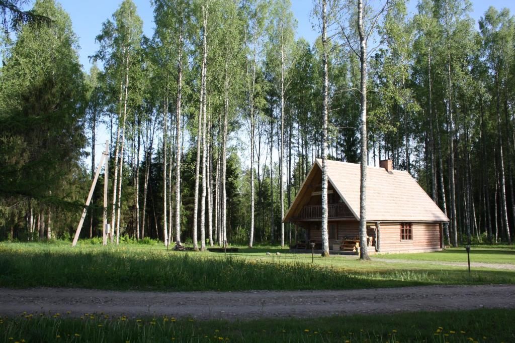 Загородные дома Aasa Holiday Homes Kärsu-58